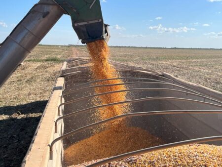 Conab: previsão da safra 2024/25 indica produção recorde de 336,05 milhões de t