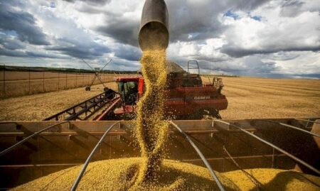 Estiagem de janeiro e fevereiro derrubou produtividade da soja em MS