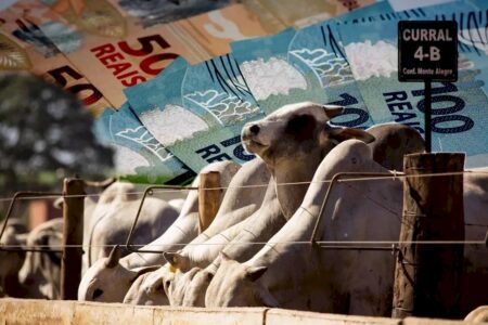 Fertilizantes em alta e Selic no teto pressionam margens dos grãos; proteína animal deve se beneficiar