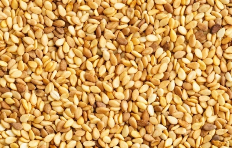 Brasil celebra abertura de mercado para exportação de gergelim para a África do Sul