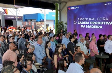 De estratégia a realidade: simplificação e visão de futuro ajudaram MS a consolidar Vale da Celulose