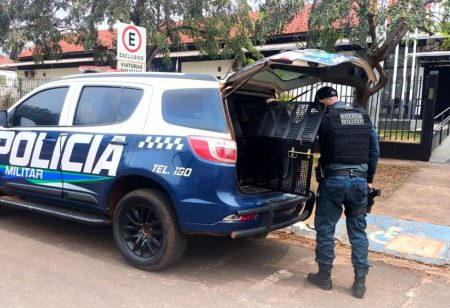 IVINHEMA: Polícia Militar cumpre mandado de prisão