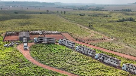 STF impede cobrança retroativa de ICMS e traz alívio ao agro