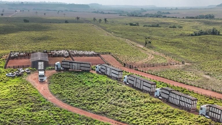 STF impede cobrança retroativa de ICMS e traz alívio ao agro