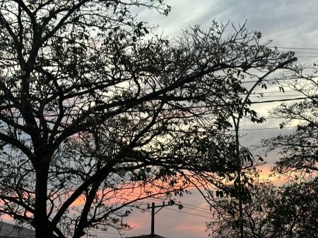 Confira a previsão do tempo para esta segunda-feira (13) em Nova Andradina
