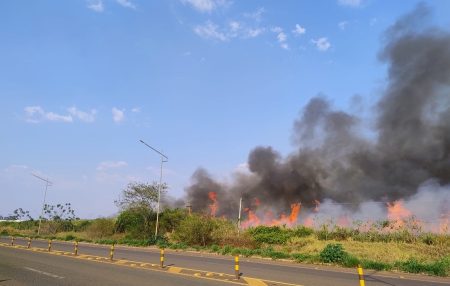 Incêndio atinge plantação de cana-de-açúcar na saída de Nova Andradina para Ivinhema