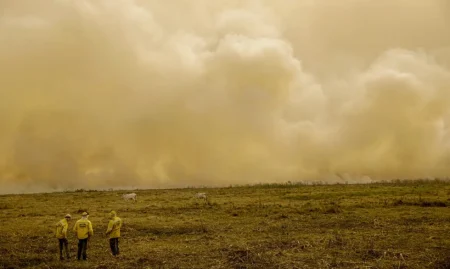 Calor já mata meio milhão de pessoas por ano, alertam cientistas.