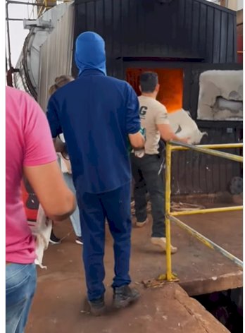 Polícia Civil incinera cerca de 4 toneladas de drogas em Batayporã