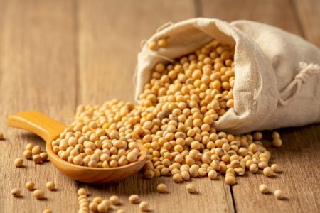 Soja brasileira mira mercado de carnes vegetais e novas oportunidades de consumo