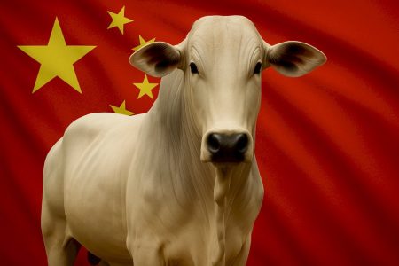 Veja o preço da arroba do boi gordo em dia em que a China adiou investigações