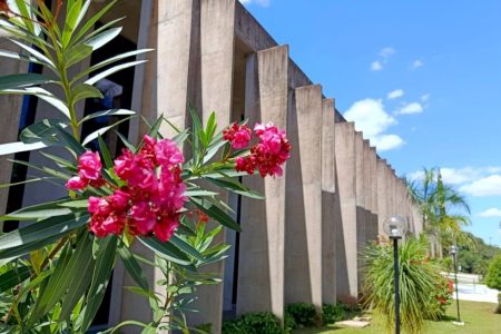 ALEMS divulga agenda da semana com lançamento do cronograma de emendas e eventos temáticos