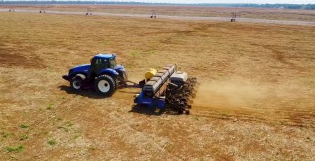 Plantio de soja atinge 25/26 atinge 78% de área no Brasil; ritmo está atrás do ano passado