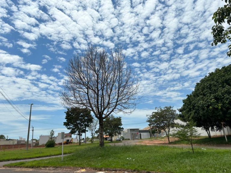 Confira a previsão do tempo para esta quinta-feira (13) em Nova Andradina.