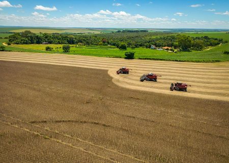 Produtor rural poderá ficar isento de IR até renda anual de R$ 508 mil