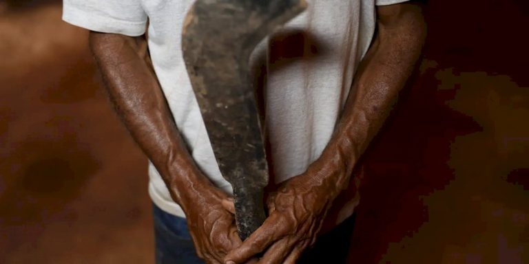 Fronteira Cerrado: desmatamento gera conflitos por terra e grilagem