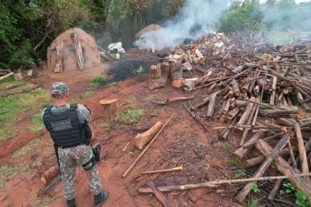 PMA de Amambai multa e paralisa carvoaria ilegal em área urbana de Coronel Sapucaia.