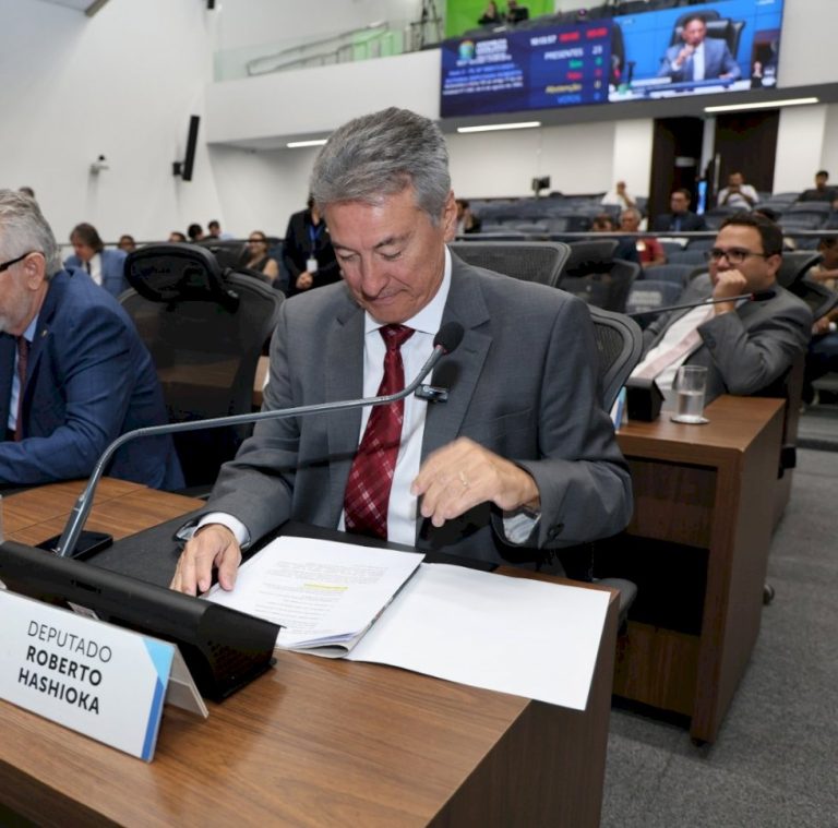 Deputado Roberto Hashioka solicita recuperação da rodovia MS-141 em Ivinhema.