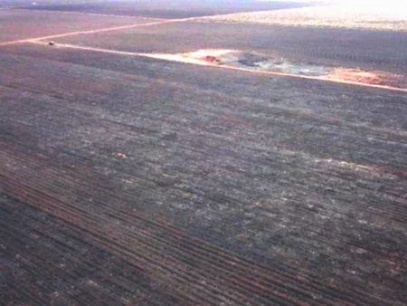 MPE investiga incêndio em canavial que devastou áreas protegidas e gerou multa de R$ 4,8 milhões em Angélica.