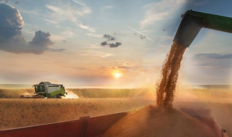 Brasil projeta safra de 354,4 milhões de toneladas em 2025/26