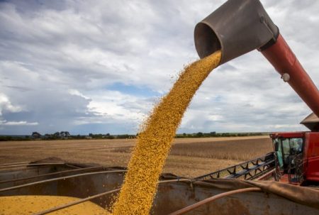 Produtor segura venda e só 22% da soja de MS foi comercializada até dezembro