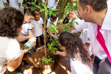 Vereadores propõem criação de Programa Municipal de Áreas Verdes Comunitárias em Nova Andradina.