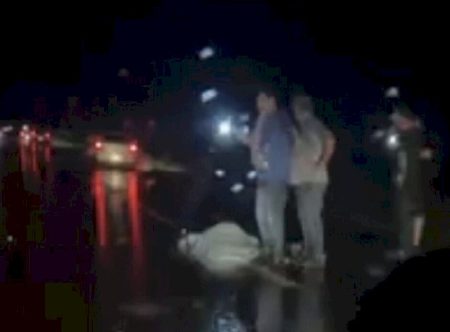 Corpo é encontrado na MS-386 durante forte chuva; causa da morte ainda é desconhecida
