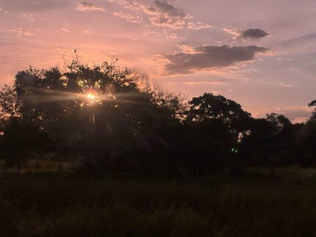 Confira a previsão do tempo para esta quinta-feira (11) em Nova Andradina