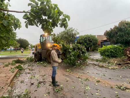 Temporal provocou queda de árvores, destelhamento e danos em veículos em Dourados