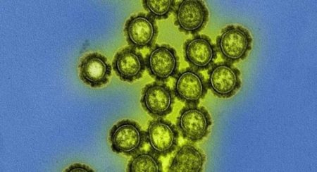 MS registra mais 9 casos da gripe K e número chega a 12