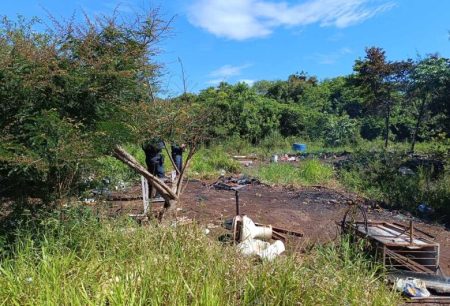 Corpo é encontrado carbonizado em área de mata em Dourados