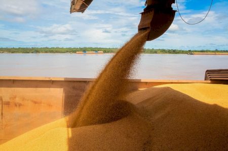 PIB da soja e do biodiesel acelera em 2025 com força da agroindústria