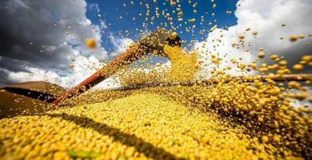 PIB do agro impulsiona outros setores, mas 2026 deve trazer desafios