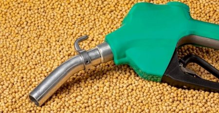 PIB da cadeia de soja e biodiesel deve crescer 11% em 2025