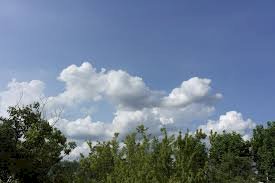 Calor e pancadas de chuva marcam o domingo em Mato Grosso do Sul