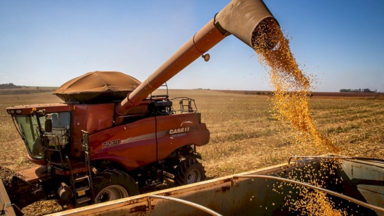 Mato Grosso redefine incentivo fiscal à soja beneficiada