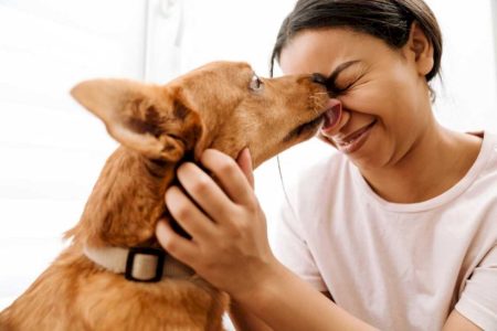 Lambidas de cachorros e gatos podem oferecer riscos à saúde humana