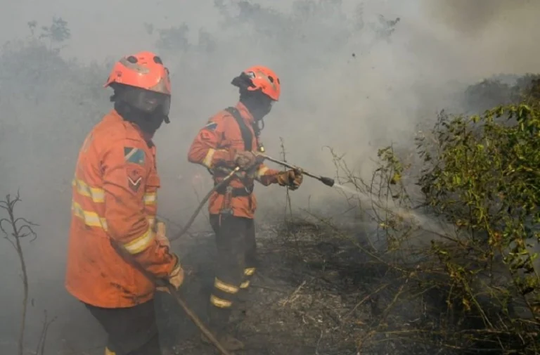 MS reforça monitoramento e combate a incêndios após aumento de focos no Pantanal.