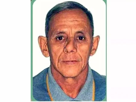 Morador de Fátima do Sul morre após ataque de abelhas