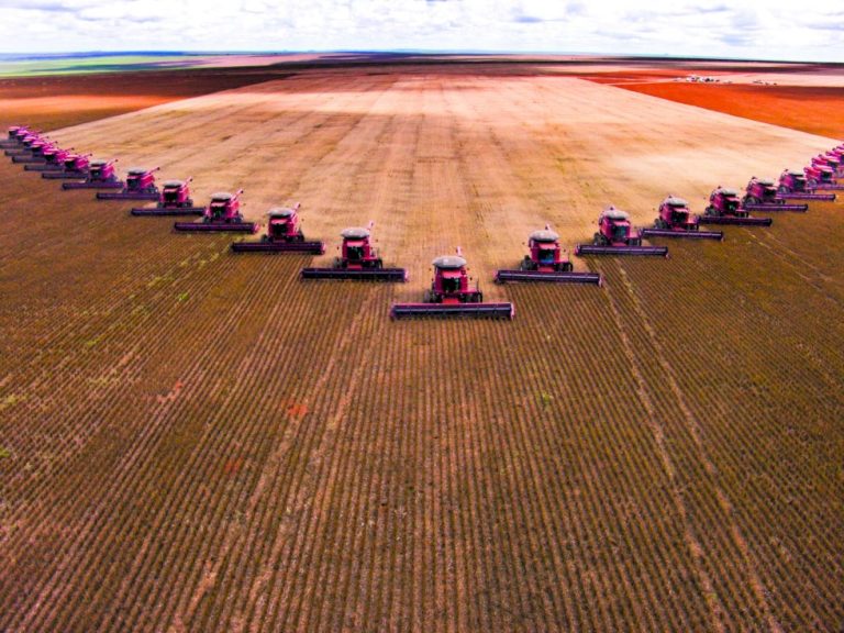 Produção de grãos e área plantada da safra 2025/26 mantém perspectiva de novos recordes