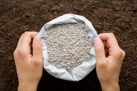 Importação de fertilizantes é recorde em 2025; País amplia exportações agrícolas