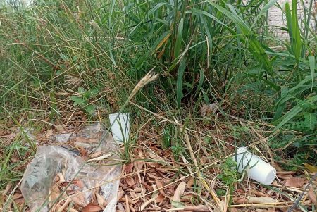 Moradores de Nova Andradina reclamam de terrenos sujos e descarte irregular de lixo; saiba como denunciar