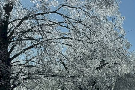 A importância de manter a cabeça quente no inverno