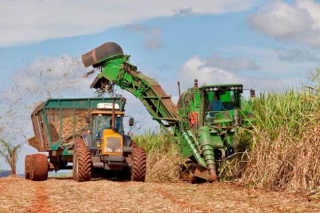 Etanol se consolida como principal aposta das usinas na safra 26/27