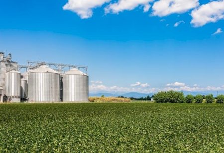 Aprosoja/MS disponibiliza painel inédito com dados de armazenagem por município em Mato Grosso do Sul