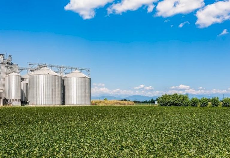 Aprosoja/MS disponibiliza painel inédito com dados de armazenagem por município em Mato Grosso do Sul
