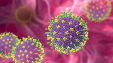 Vírus Nipah: alerta global reforça uma das maiores lições da pandemia de covid-19