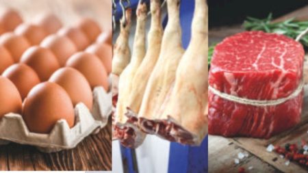 Coreia do Sul sinaliza avanços para importação de ovos, carne suína e bovina do Brasil