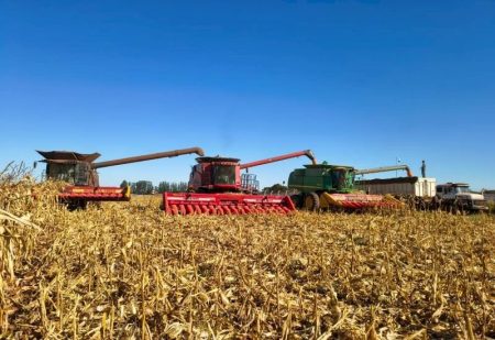 Mudança na jornada pode elevar em R$ 93,3 milhões ao ano os custos dos produtores de MS