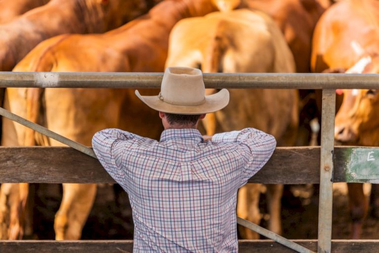 Preços agropecuários caem 3,75% em janeiro
