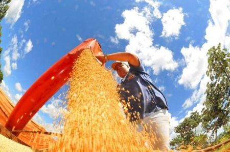 MS só consegue armazenar 48,4% da produção de grãos